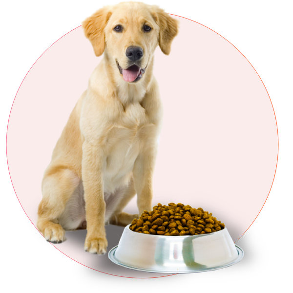 Proper Nutrition-3