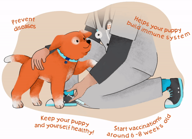pet-vaccination.webp
